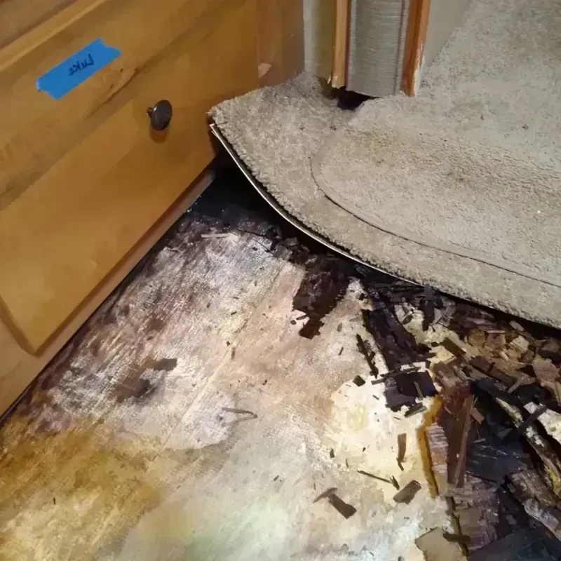 Best Wood Floor Water Damage Service in Laurence Harbor, NJ